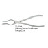 Walsham Septum Straightening Forceps 23cm