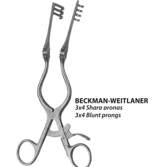 Beckman Weitlaner