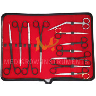 Freeman Facelift scissors set